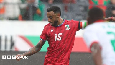 Equatorial Guinea pair banned for abusing referee at Afcon