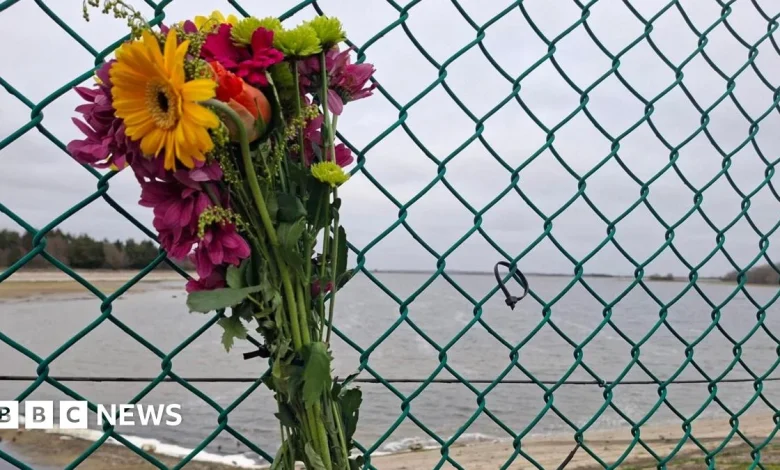 Essex Police at reservoir near Chelmsford after aircraft crash