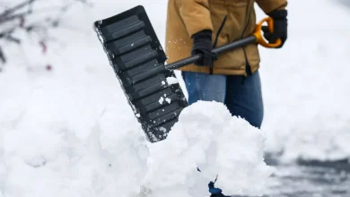 Est du Québec | D’importantes quantités de neige sont attendues aujourd’hui