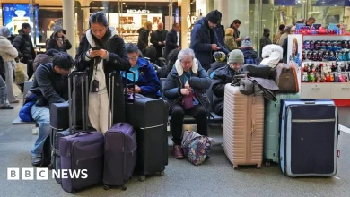 Eurostar advises passengers not to travel due to 'major disruption' in Channel Tunnel