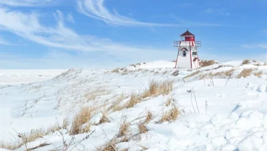 Express Entry: 6,000 CEC invitations issued in largest draw in more than 16 months