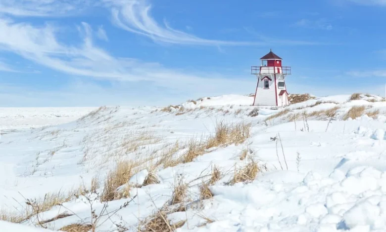 Express Entry: 6,000 CEC invitations issued in largest draw in more than 16 months