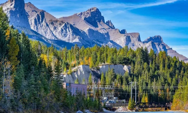 Express Entry invitations issued to PNP candidates in second consecutive week of draws