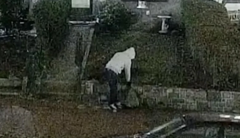 FBI makes arrest in DC pipe bomber investigation, sources say