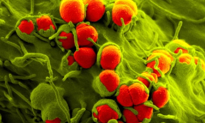 FDA approves Nuzolvence, new pill for gonorrhea