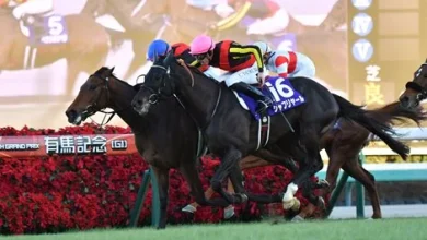 Fan Favorite Regaleira Seeks Repeat Win in Arima Kinen