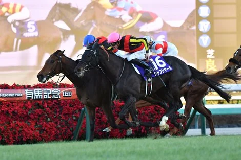 Fan Favorite Regaleira Seeks Repeat Win in Arima Kinen