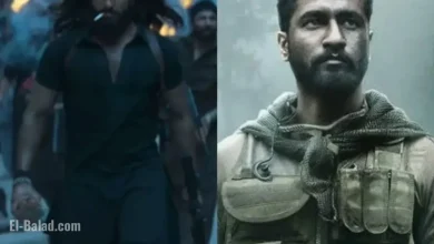 Fans’ Theory on Dhurandhar and Vicky Kaushal’s ‘Uri’ Sparks Viral Buzz