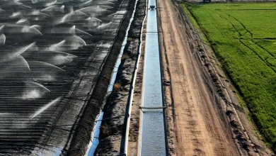 Federal gov't should stop giving scarce water for free, report says