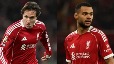 Federico Chiesa and Cody Gakpo fitness update