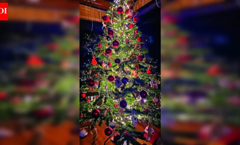 Festive, personal, meaningful: The stories behind celebs’ X-mas trees | Telugu Movie News