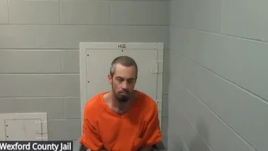 Fiancé of murder victim Rebecca Park arraigned on domestic violence charges