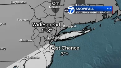 First widespread snowfall across NYC, Tri-State expected this weekend