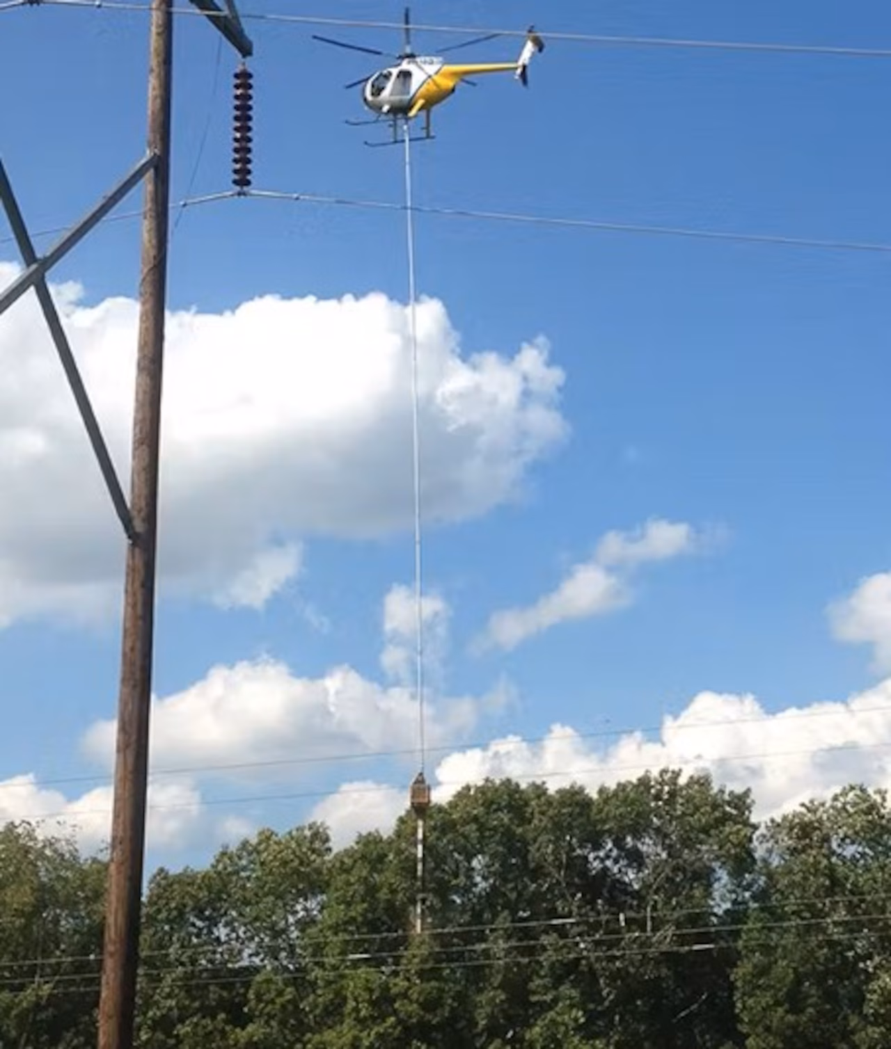 FirstEnergy caught profiting off tree trimming while hiking rates for Northeast Ohio customers