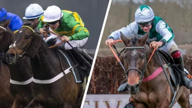 Five horses to follow at Cheltenham this weekend - including a festival winner, five-timer-seeker and an exciting novice hurdler