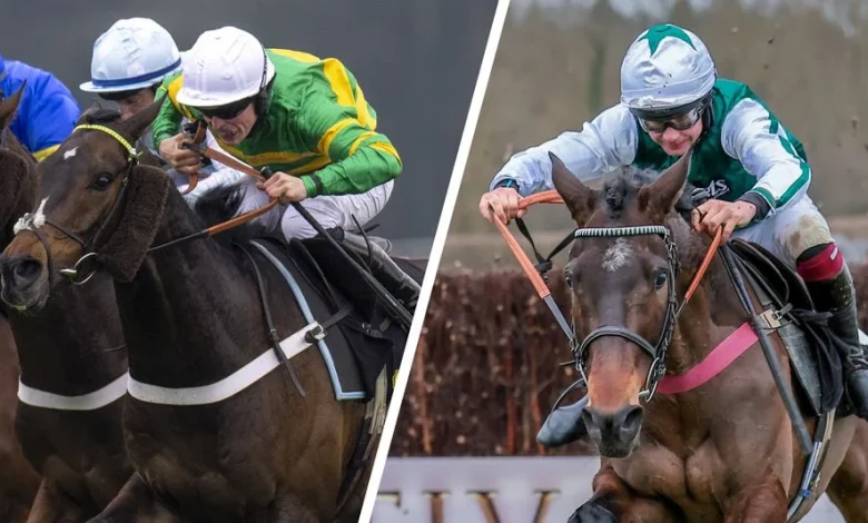 Five horses to follow at Cheltenham this weekend - including a festival winner, five-timer-seeker and an exciting novice hurdler