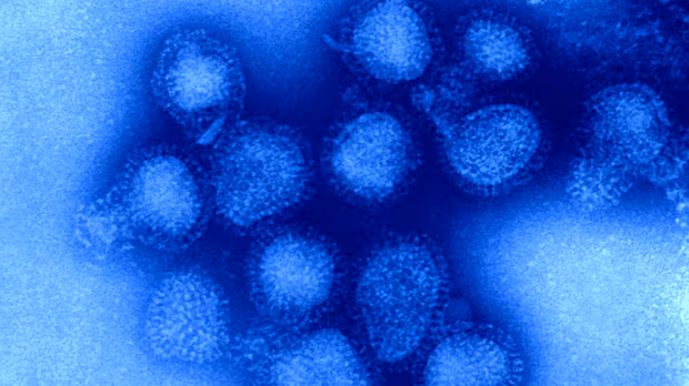 Flu circulating at 'sky-high' levels among kids, teens as experts brace for worsening wave of infections