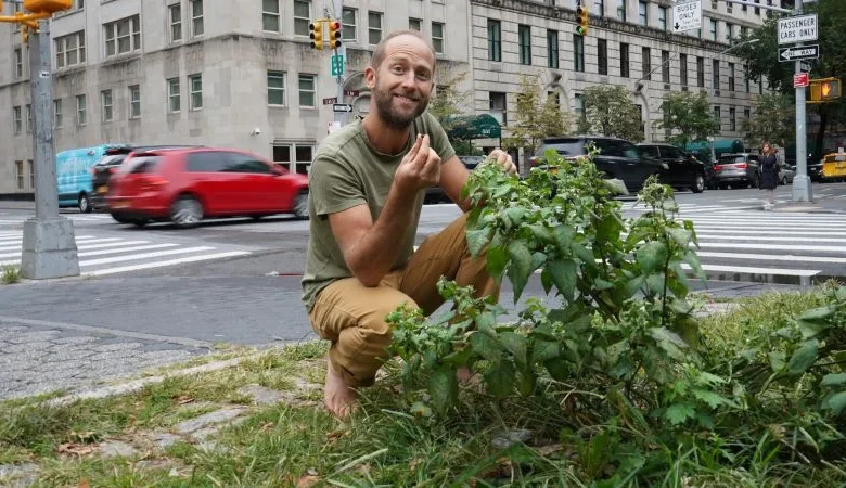 Forage for food—without killing your guests