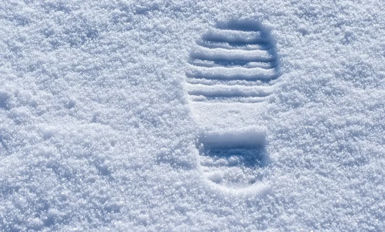 Forecast for Windsor-Essex for Tuesday, December 9, 2025