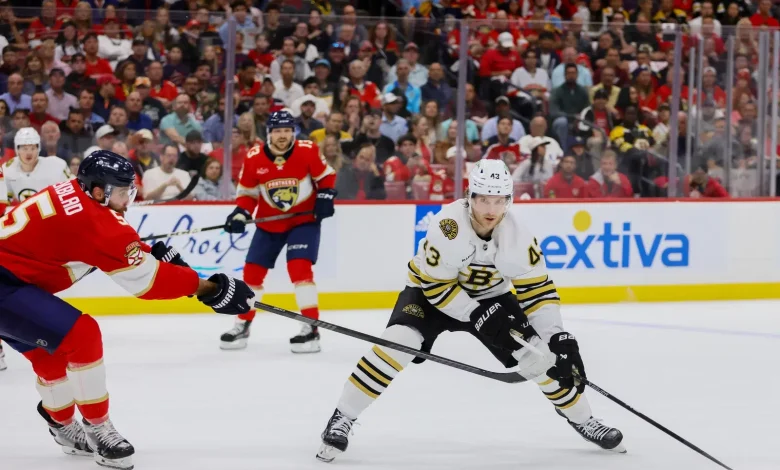 Former Boston Bruins Winger Hits Waivers