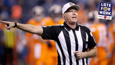 Former NFL Referee Believes Catch Rules Should Be Changed