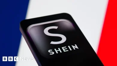 French court rejects Shein website ban over childlike sex dolls