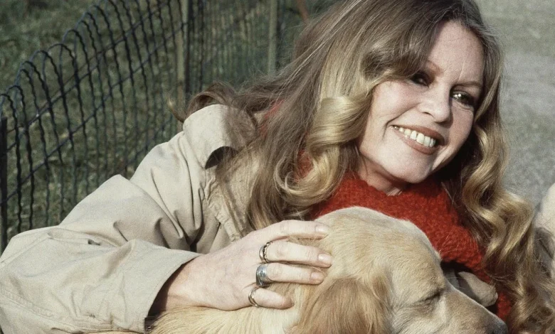 French split over Brigitte Bardot tribute due to her far right views