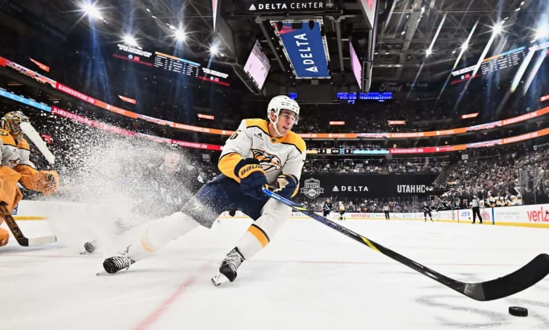 GAME DAY: Preds at Mammoth, December 29