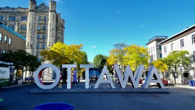 Game 27 Hub: Ottawa Senators vs. New York Rangers