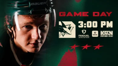 Game Preview: Wild at Sharks