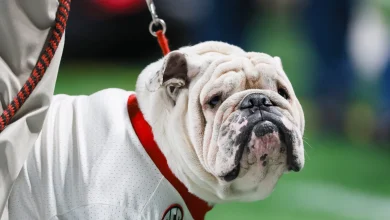 Georgia football cancels future home-and-homes against Louisville, NC State