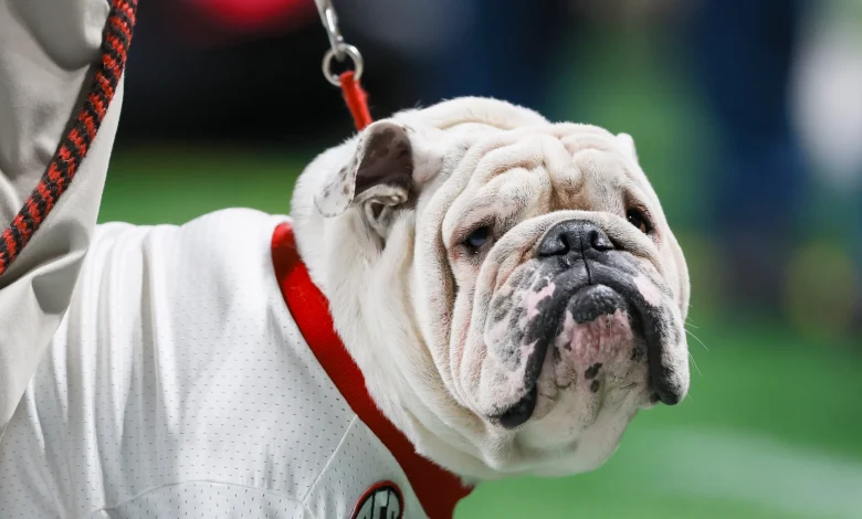 Georgia football cancels future home-and-homes against Louisville, NC State