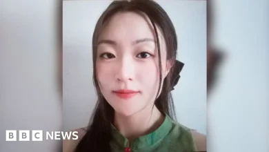 Goldsmiths student guilty of murdering his partner in Lewisham