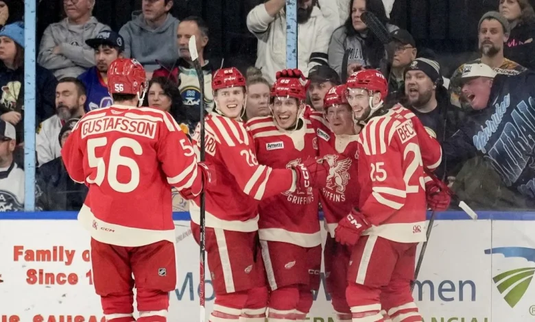 Grand Rapids Griffins | Nothing But Net