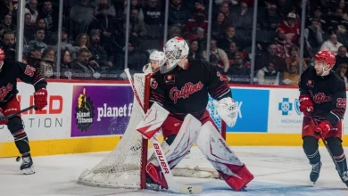 Grand Rapids Griffins | Paint the Town Red