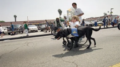 Ground-breaking ‘80s star, Melanie Watson of 'Diff'rent Strokes,' dies at 57