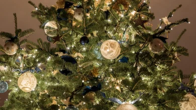 HOME IS WHERE THE HEART IS