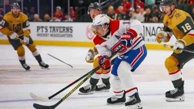 Habs Stats: The First 25 games