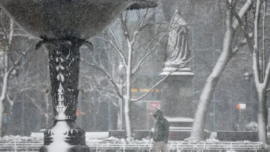 Hamilton under special weather statement as ‘Alberta Clipper’ travels east