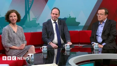 Hampshire and Solent mayor delay debated by south politicians