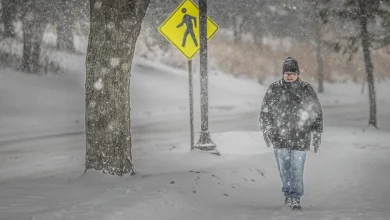 Heavy snow, howling winds snarl travel across Minnesota - MPR News