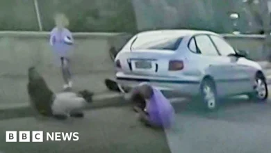 Hero couple tried to stop gunman before being killed in Bondi attack