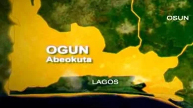 Hit-and-Run Driver Kills Pedestrian in Ogun