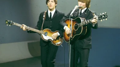 Höfner files for bankruptcy