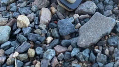 Homeowner confused after stumbling upon mysterious device in their driveway: 'Strange thing to find'