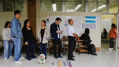 Hondurans vote in close presidential race overshadowed by surprise Trump intervention