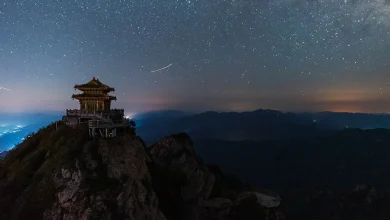 Horoscope chinois pour le mois de janvier 2026