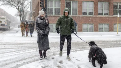 How Chicagoans Spent The Snowiest November Day In History