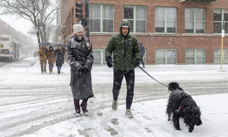 How Chicagoans Spent The Snowiest November Day In History