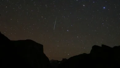 How and When to Best See the Geminids Meteor Shower